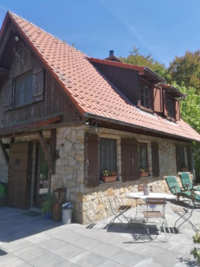 Jagdhaus In Der Rhoen In Voelliger Alleinlage Gersfeld Exterior photo